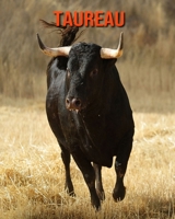 Taureau: Photos Etonnantes & Recueil d'Informations Amusantes Concernant les Taureau pour Enfants B093XMVLY3 Book Cover