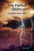 The Perfect Storm 0557028477 Book Cover