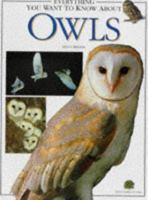 Everything You Want to Know About Owls 190073205X Book Cover