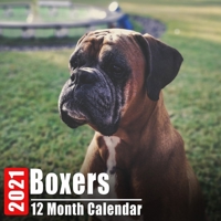 Calendar 2021 Boxers: Cute Boxer Photos Monthly Mini Calendar With Inspirational Quotes each Month B08DSH796C Book Cover