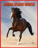 Andalusian Horse: Beautiful Pictures & Interesting Facts Children Book About Andalusian Horse B08W7SPLSG Book Cover