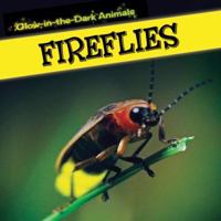 Glow-in-the-Dark Fireflies 1499401140 Book Cover
