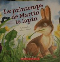 Rabbit's Spring Adventure 1435145844 Book Cover