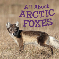 All about Arctic Foxes : English Edition 1774500663 Book Cover