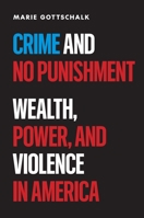Crime and No Punishment: Wealth, Power, and Violence in America 0691275254 Book Cover