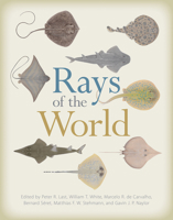 Rays of the World 1501705326 Book Cover
