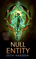 Null Entity (The Volatile Memory Duology, 2) 125036521X Book Cover