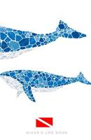 Diver's Log Book: scuba diving log book 100 pages 1097165906 Book Cover