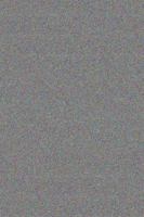 Sex in the Southeast 1935509756 Book Cover