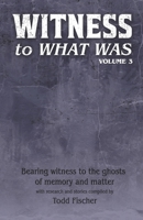 WITNESS to What Was: Volume 3 B0GXZLDFSX Book Cover