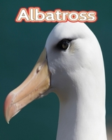 Albatross: Facts Book B0C1DRYV1T Book Cover