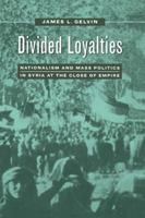 Divided Loyalties 0520210700 Book Cover