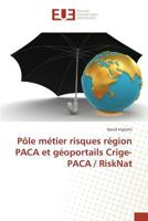Pale Ma(c)Tier Risques Ra(c)Gion Paca Et Ga(c)Oportails Crige-Paca / Risknat 3841677142 Book Cover