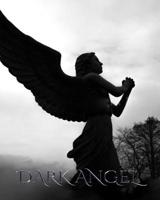 Dark Angel Journal 046405916X Book Cover