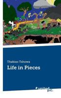 Life in Pieces 1498473040 Book Cover