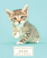 2020: Weekly and Monthly Planner/Calendar Jan 2020 – Dec 2020 Cute Kitten 1698372450 Book Cover