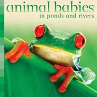 Animal Babies in Ponds and Rivers (Animal Babies) 0753460599 Book Cover