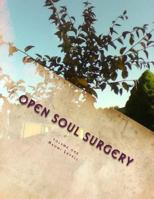 Volume One, Open Soul Surgery, deluxe large print color edition: The Seer 1546357106 Book Cover