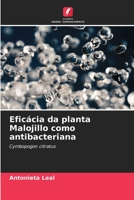 Eficácia da planta Malojillo como antibacteriana (Portuguese Edition) 6206455270 Book Cover