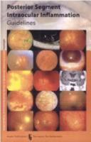 Posterior Segment Intraocular Inflammation: Guidelines 906299167X Book Cover