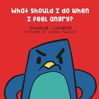 What should I do when I feel angry? 1097671666 Book Cover