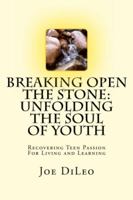 Breaking Open the Stone: Unfolding the Soul of Youth: A Grassroots Strategy to Address School Violence 0615536557 Book Cover
