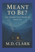 Meant To Be?: The Things That Shape Us (Meant To Be? An Unconventional Love Story) B0FCZLMGKR Book Cover