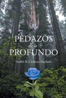 Pedazos de lo Profundo 1662489994 Book Cover