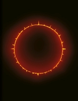 Dark Room 1851246096 Book Cover