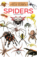 Spiders 1098298950 Book Cover