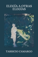 ELEGÍA A OTRAS ELEGÍAS (Spanish Edition) B0FKTSX9KQ Book Cover
