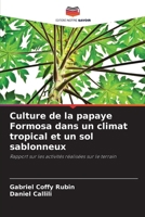 Culture de la papaye Formosa dans un climat tropical et un sol sablonneux (French Edition) 6207706390 Book Cover