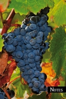 Notes: Ripe grapes. Format A5, 120 pages, fine grey lined. Enter your recipes, recipe ideas, meat and fish grilling recipes or healthy vegan and vegetarian dishes in this beautiful recipe notebook. 1711837695 Book Cover