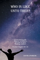 Who is Like Unto Thee?: O Lord Among Gods 180381442X Book Cover