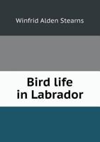 Bird Life in Labrador 1014260523 Book Cover