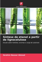 Síntese de etanol a partir de lignocelulose (Portuguese Edition) 6630288769 Book Cover