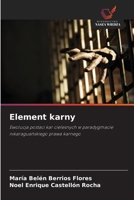 Element karny: Ewolucja postaci kar cielesnych w paradygmacie nikaraguańskiego prawa karnego 6200864322 Book Cover