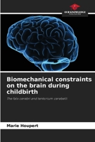 Biomechanical constraints on the brain during childbirth 6209569994 Book Cover