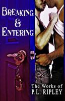 Breaking and Entering 1622343387 Book Cover