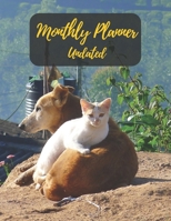 Monthly Planner Undated: Cat love dog.Undated Monthly Planner with to do list and personal expense tracker.Two-year(24+1 month)A Blank Calendar with ... plan your life,work,study,school,home,family. 1673547389 Book Cover