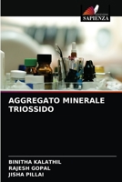 AGGREGATO MINERALE TRIOSSIDO 6204067990 Book Cover