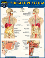 Anatomy of the Digestive System: Quickstudy Laminated Reference Guide 1423234626 Book Cover