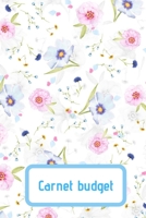 Carnet Budget: Carnet Budget, Livre De Compte, Carnet budget mensuel, Livre de compte Priv�s, Livre de compte mensuel, Comptes de livre de caisse, livre de compte micro entreprise B084DG28FS Book Cover