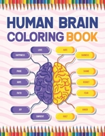 Human Brain Coloring Book: Neuroscience Coloring book Medical School Students Nurses Doctors and Adults. Human Brain Anatomy. The Human Brain Coloring ... and Nursing students. Nurses & Doctors. B08N3MYNW7 Book Cover