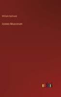 Icones Muscorum 3368838334 Book Cover