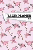 Tagesplaner Flamingo: Eleganter Terminplaner I DIN A5 I 120 Seiten I Tageskalender I Organizer fr Schle, Uni und Bro 1655977806 Book Cover