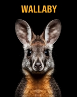 Wallaby: Buch mit lustigen Fakten für Kinder B0CF4CVK9H Book Cover
