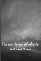 Paseando en el olvido null Book Cover