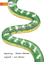 Mit Wants To Move - မီမီ ရွေ့လျားချင်တယ် 1922793132 Book Cover