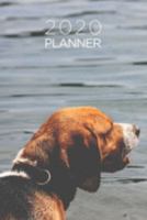 Beagle Planner: 2020 diary: Increase productivity, improve time management, reach your goals: Sweet tricolor beagle dog in water cover 1691186236 Book Cover